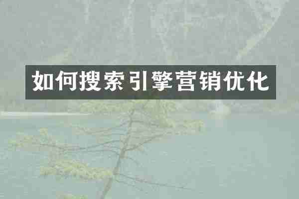 如何搜索引擎营销优化
