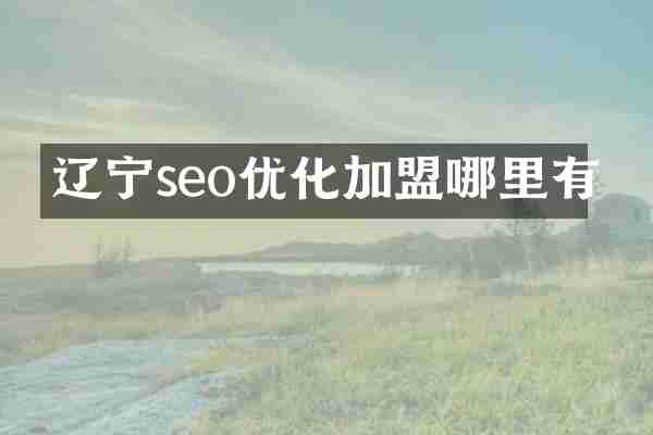 辽宁seo优化加盟哪里有