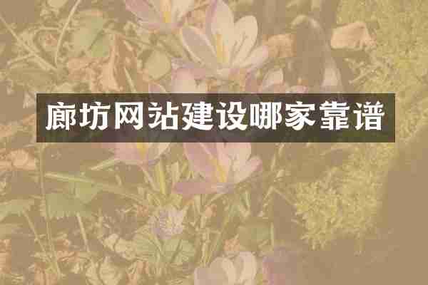 廊坊网站建设哪家靠谱