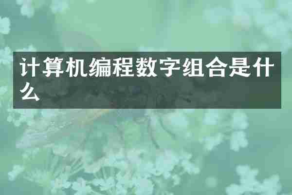 计算机编程数字组合是什么
