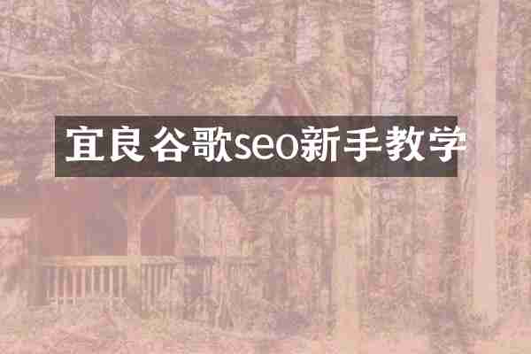 宜良谷歌seo新手教学
