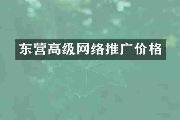 东营高级网络推广价格