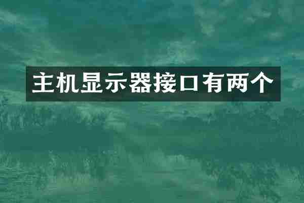 主机显示器接口有两个