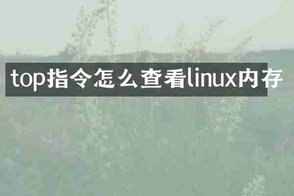 top指令怎么查看linux内存