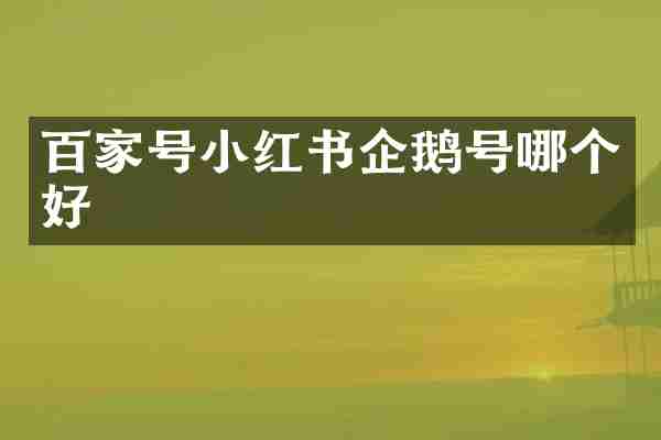 百家号小红书企鹅号哪个好