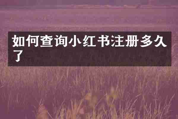 如何查询小红书注册多久了