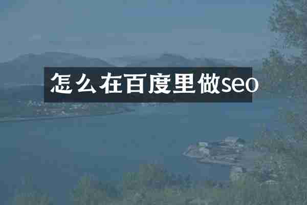 怎么在百度里做seo