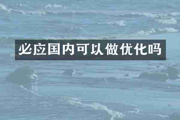 必应国内可以做优化吗