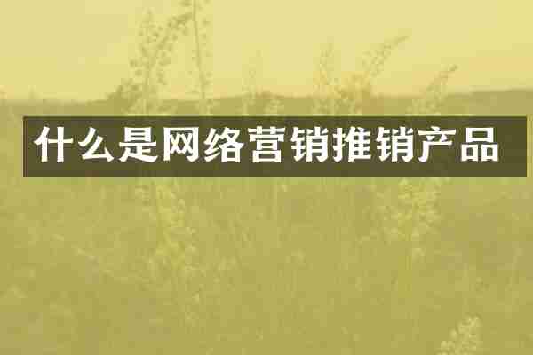 什么是网络营销推销产品