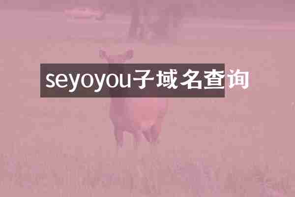 seyoyou子域名查询