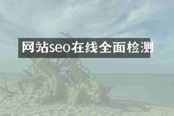 网站seo在线全面检测