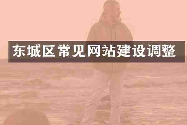 东城区常见网站建设调整