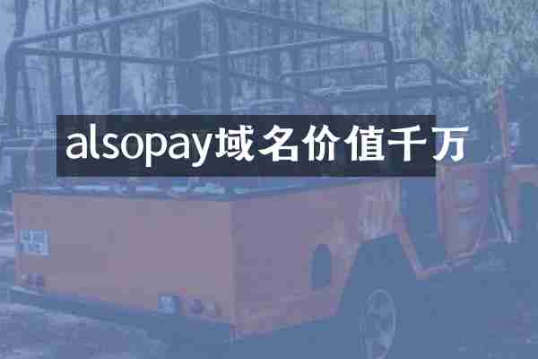 alsopay域名价值千万