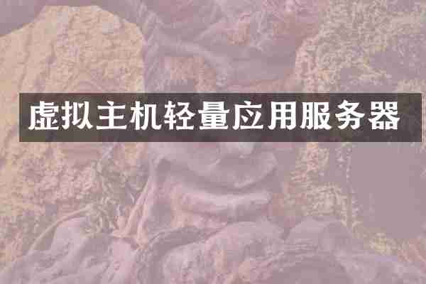 虚拟主机轻量应用服务器