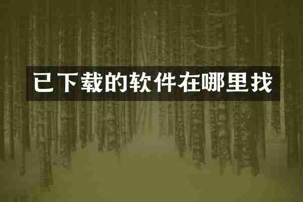 已下载的软件在哪里找