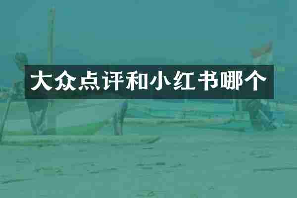 大众点评和小红书哪个