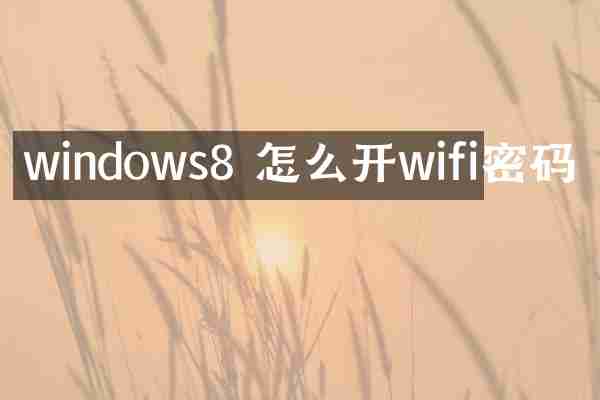 windows8 怎么开wifi密码