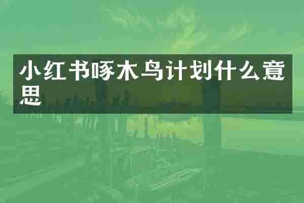 小红书啄木鸟计划什么意思