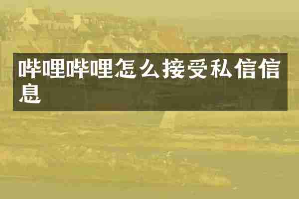 哔哩哔哩怎么接受私信信息