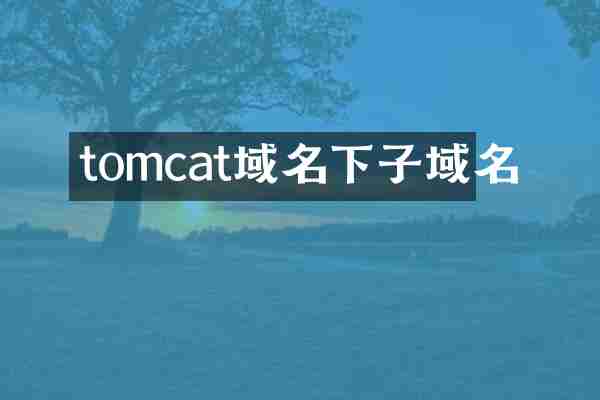 tomcat域名下子域名