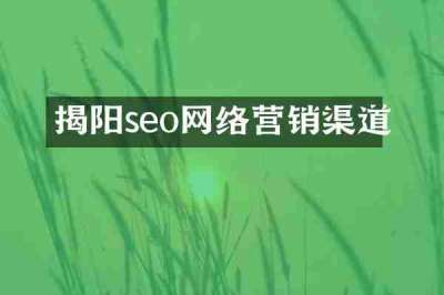 揭阳seo网络营销渠道