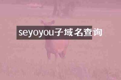 seyoyou子域名查询