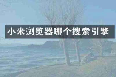 小米浏览器哪个搜索引擎