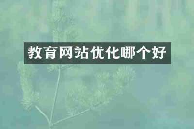 教育网站优化哪个好