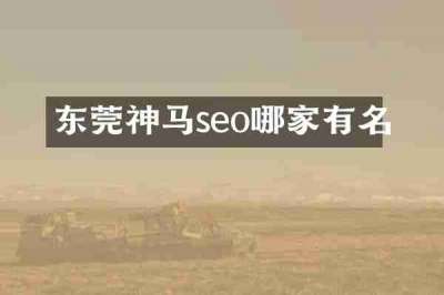 东莞神马seo哪家有名