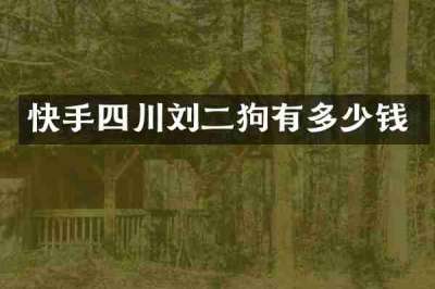 快手四川刘二狗有多少钱