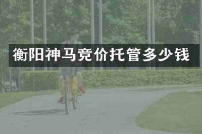 衡阳神马竞价托管多少钱