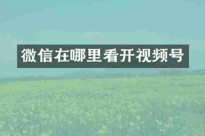 微信在哪里看开视频号