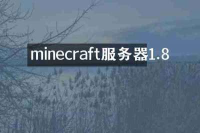minecraft服务器1.8
