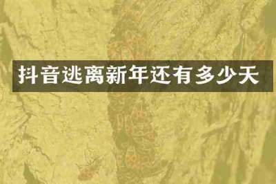 抖音逃离新年还有多少天