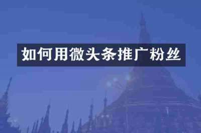 如何用微头条推广粉丝