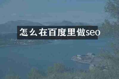 怎么在百度里做seo