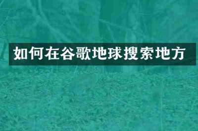 如何在谷歌地球搜索地方