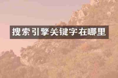 搜索引擎关键字在哪里