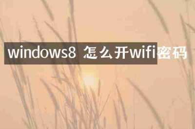 windows8 怎么开wifi密码