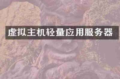 虚拟主机轻量应用服务器