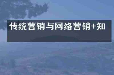 传统营销与网络营销+知乎