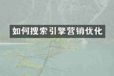 如何搜索引擎营销优化