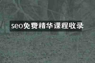 seo免费精华课程收录