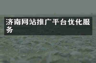 济南网站推广平台优化服务