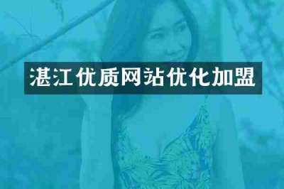 湛江优质网站优化加盟