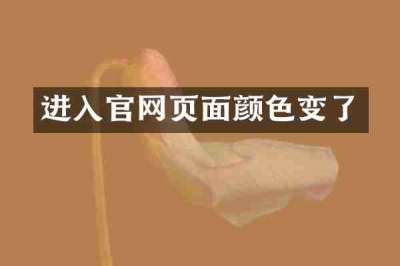 进入官网页面颜色变了