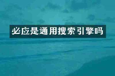 必应是通用搜索引擎吗