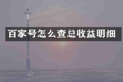 百家号怎么查总收益明细