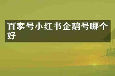 百家号小红书企鹅号哪个好