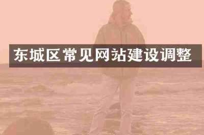 东城区常见网站建设调整